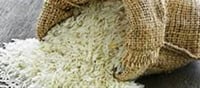 “Is the Israel-Iran War Affecting India’s Basmati Rice Prices? Why Export Patterns Are Shifting”